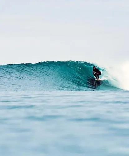 Maisonnette Proche De La Tarnos